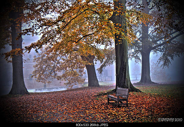 Beautiful photos from around the world.....-monday-november-1-2010-brecht-belgium.jpg