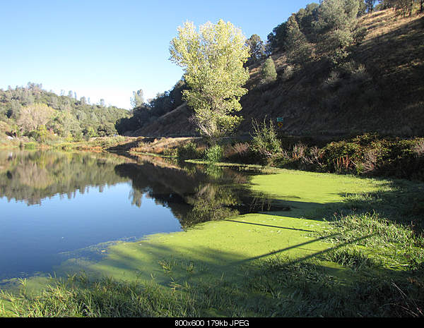 Beautiful photos from around the world.....-monday-november-1-2010-mariposa-ca.jpg