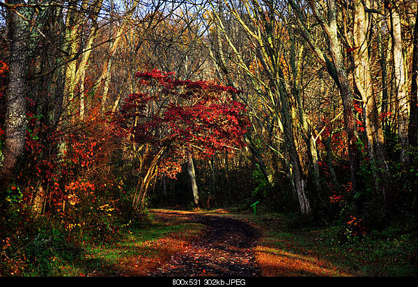 Beautiful photos from around the world.....-wednesday-october-27-2010-abingdon-va.jpg