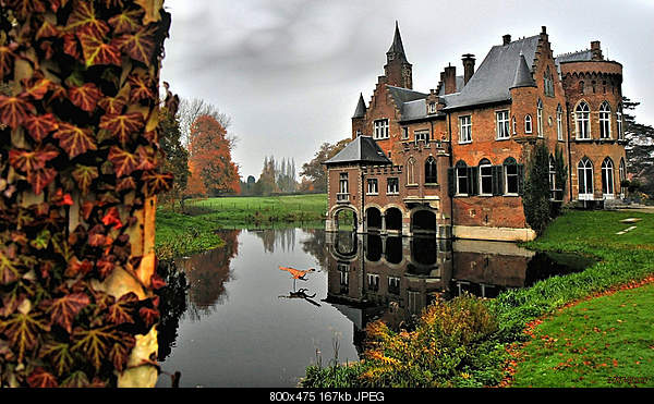 Beautiful photos from around the world.....-sunday-november-7-2010-brecht-belgium.jpg