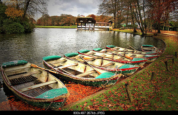 Beautiful photos from around the world.....-wednesday-november-10-2010-brasschaat-belgium.jpg