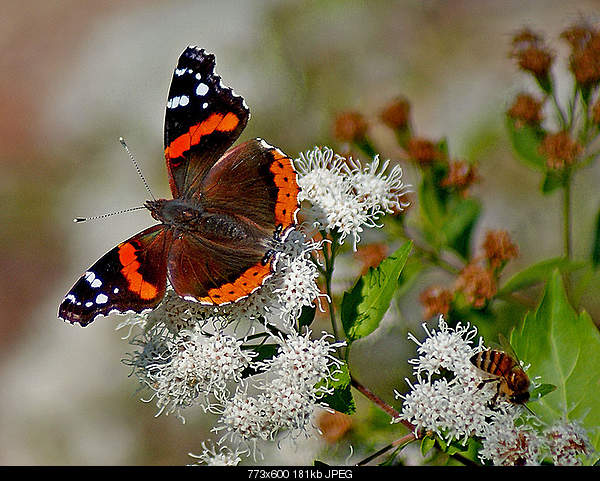 Beautiful photos from around the world.....-sunday-november-7-2010-austin-tx.jpg