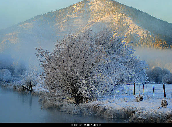 Beautiful photos from around the world.....-monday-november-29-2010-fall-river-mills-ca.jpg