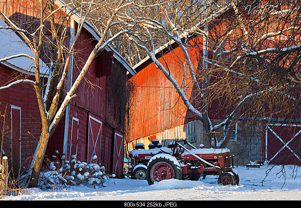 Beautiful photos from around the world.....-monday-december-6-2010-mt-horeb-wi.jpg