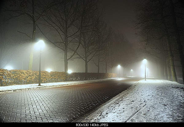 Beautiful photos from around the world.....-monday-december-6-2010-oostwold-netherlands.jpg