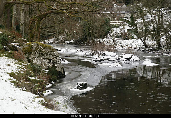 Beautiful photos from around the world.....-on-a-riverbank-outside-betws-y-coed-in-northern-wales-uk.jpg
