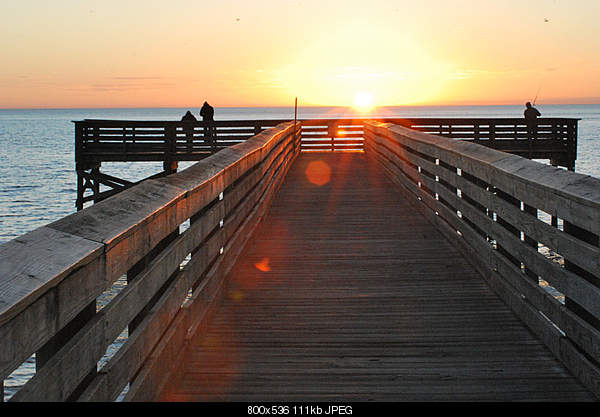 Beautiful photos from around the world.....-friday-december-17-2010-crystal-river-fl.jpg