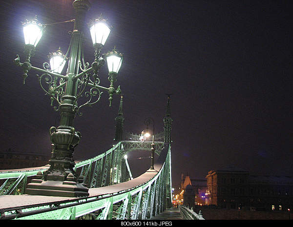 Beautiful photos from around the world.....-liberty-bridge-budapest-.jpg