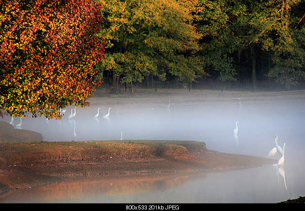 Beautiful photos from around the world.....-thursday-december-16-2010-pike-road-al.jpg