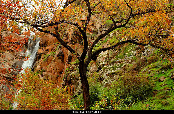 Beautiful photos from around the world.....-saturday-december-18-2010-ramona-ca.jpg