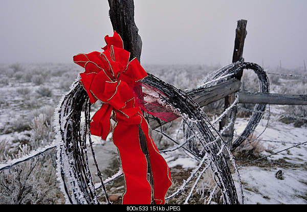 Beautiful photos from around the world.....-thursday-december-23-2010-lamoille-nv.jpg