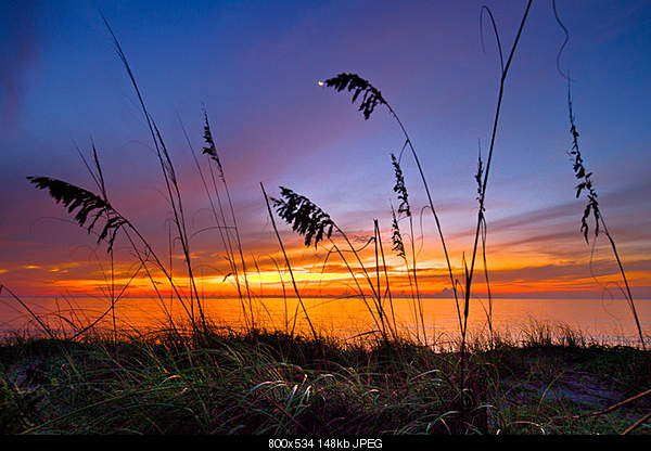 Beautiful photos from around the world.....-tuesday-august-17-2010-jupiter-fl.jpg