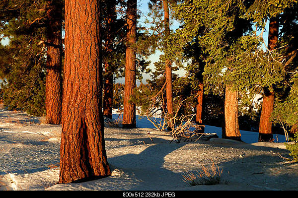 Beautiful photos from around the world.....-friday-december-24-2010-wrightwood-ca.jpg