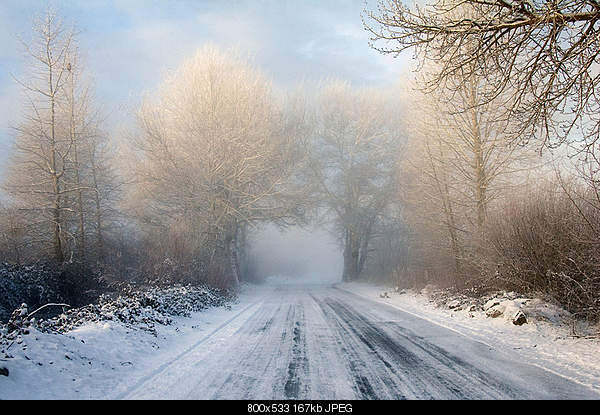 Beautiful photos from around the world.....-saturday-january-1-2011-etna-ca.jpg