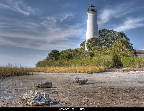 Beautiful photos from around the world.....-gulf-coast-just-25-miles-south-of-tallahassee-florida-at-the-st-marks-wildlife-refuge..jpg