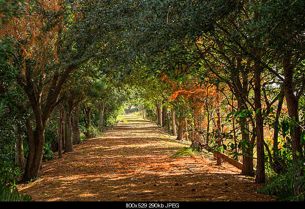 Beautiful photos from around the world.....-sunday-january-2-2011-boynton-beach-fl.jpg