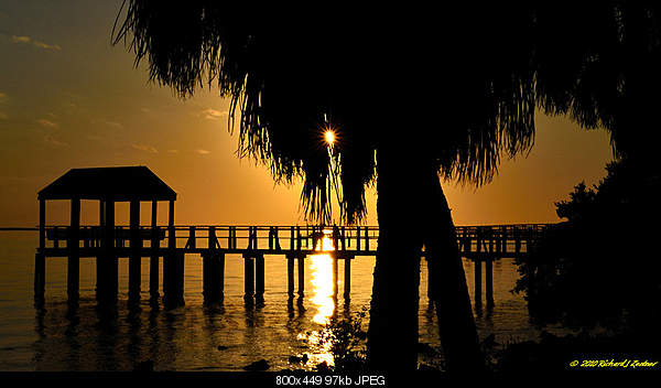 Beautiful photos from around the world.....-friday-december-31-2010-st-petersburg-fl.jpg