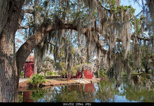 Beautiful photos from around the world.....-thursday-march-3-2011-new-orleans-la.jpg