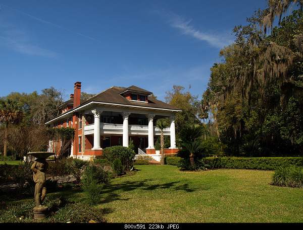 Beautiful photos from around the world.....-thursday-march-3-2011-micanopy.jpg