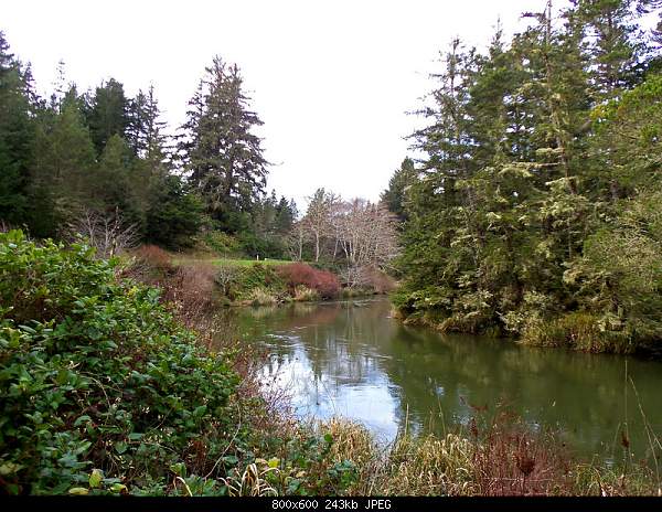 Beautiful photos from around the world.....-thursday-march-3-2011-south-siuslaw-or.jpg