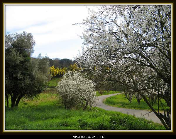 Beautiful photos from around the world.....-saturday-march-5-2011-la-croix-valmer-france.jpg
