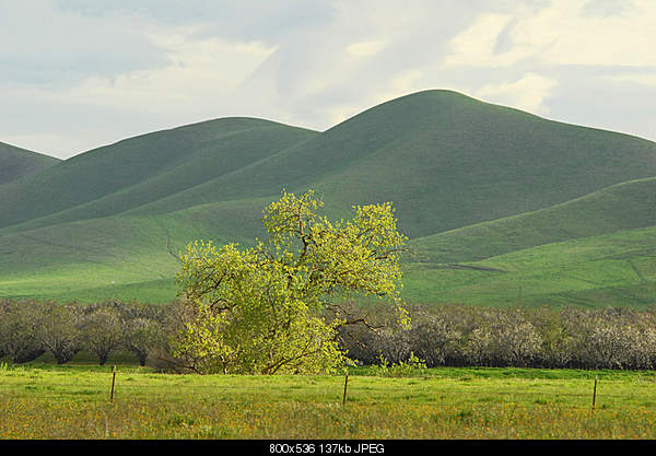 Beautiful photos from around the world.....-sunday-march-13-2011-patterson-ca.jpg