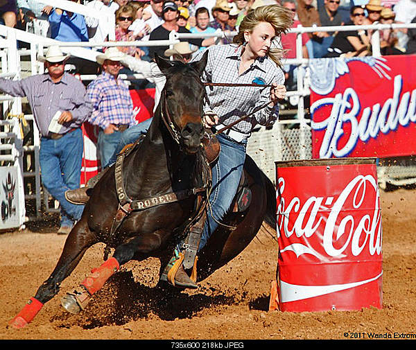 Beautiful photos from around the world.....-83rd-annual-arcadia-fl-rodeo.jpg