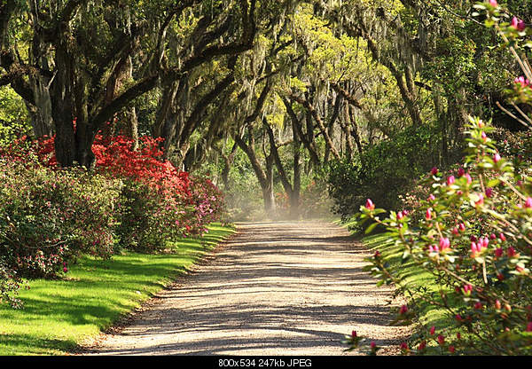 Beautiful photos from around the world.....-saturday-march-19-2011-st-francisville-la.jpg