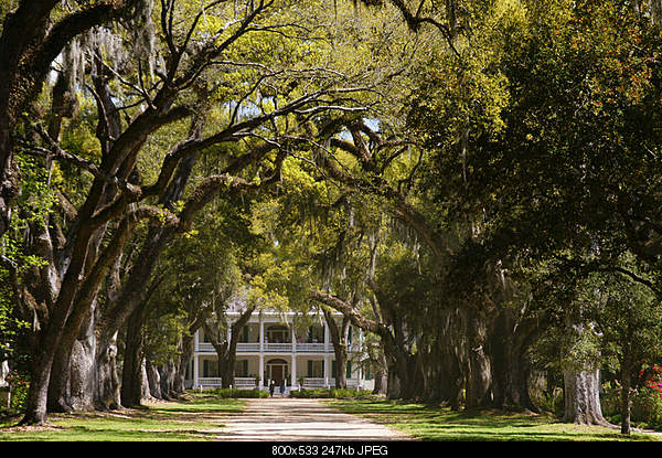 Beautiful photos from around the world.....-monday-march-21-2011-st.-francisville-la.jpg
