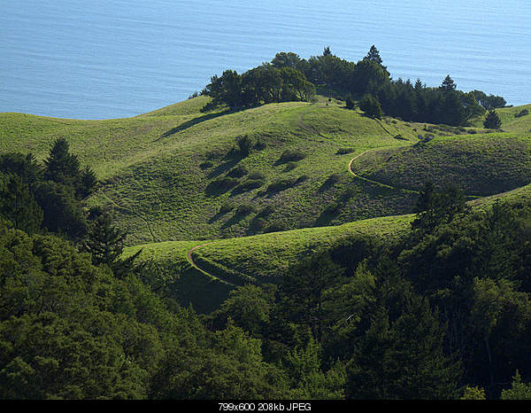 Beautiful photos from around the world.....-thursday-march-31-2011-mill-valley-ca.jpg