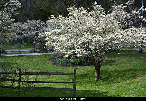 Click image for larger version

Name:	Monday April 4, 2011  Friendsville, TN.jpg‎
Views:	89
Size:	225.2 KB
ID:	24963