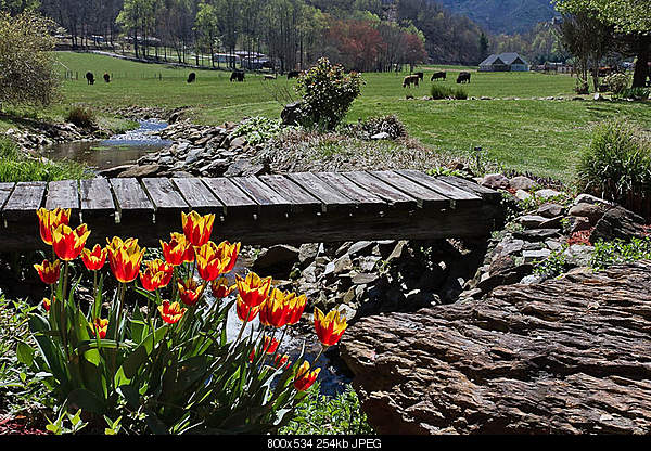 Beautiful photos from around the world.....-thursday-april-7-2011-andrews-nc.jpg