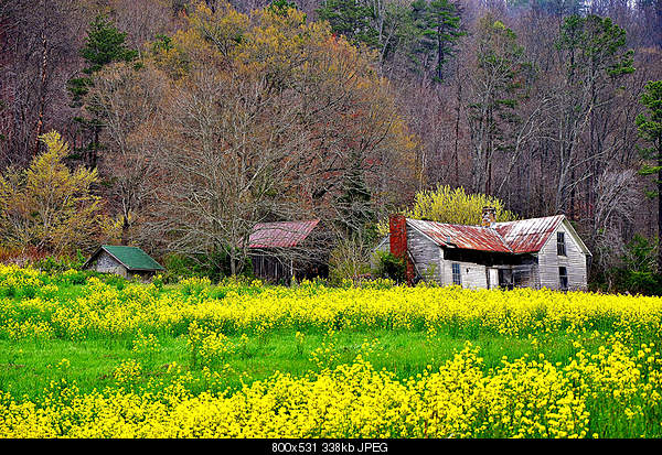 Beautiful photos from around the world.....-april-8-2011-mendota-va.jpg