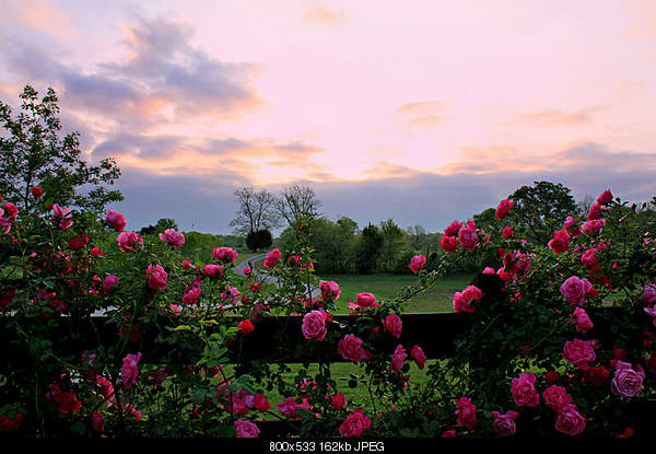 Beautiful photos from around the world.....-monday-april-11-2011-pike-road-al.jpg