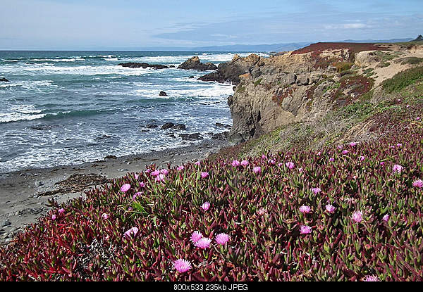 Beautiful photos from around the world.....-tuesday-april-12-2011-fort-bragg-ca.jpg