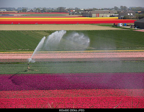 Beautiful photos from around the world.....-monday-april-25-2011-julianadorp-netherlands.jpg