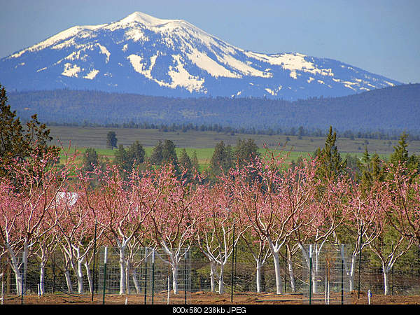 Beautiful photos from around the world.....-wednesday-april-27-2011-fall-river-mills-ca.jpg