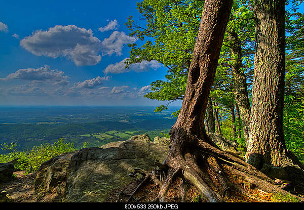 Beautiful photos from around the world.....-monday-april-25-2011-benton-tn.jpg