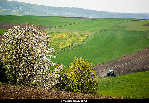 Beautiful photos from around the world.....-tuesday-april-26-2011-przemy-l-poland.jpg