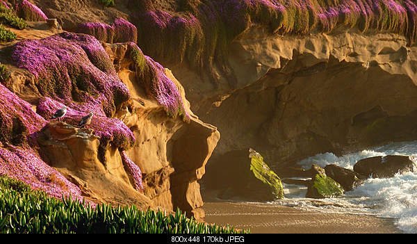 Beautiful photos from around the world.....-unday-may-1-2011-la-jolla-ca.jpg