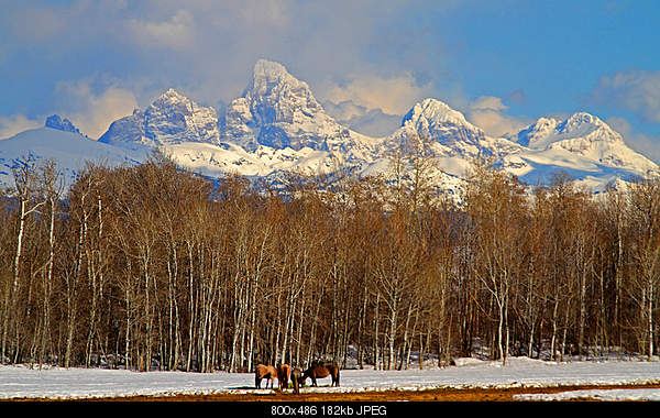 Beautiful photos from around the world.....-the-tetons.jpg