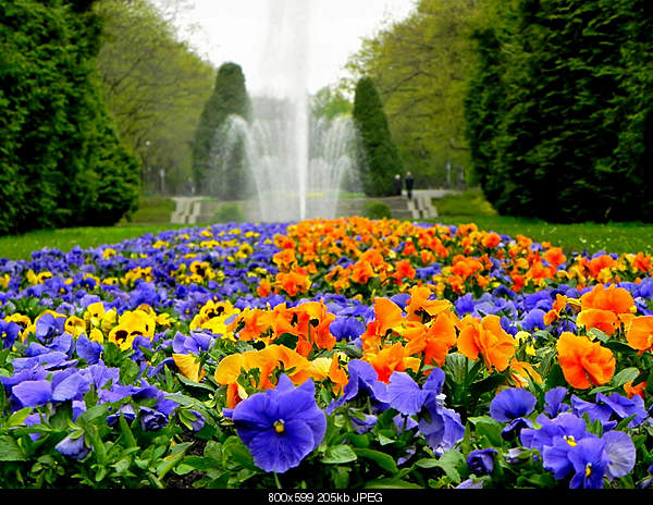 Beautiful photos from around the world.....-tuesday-may-3-2011-bia-ystok-poland.jpg