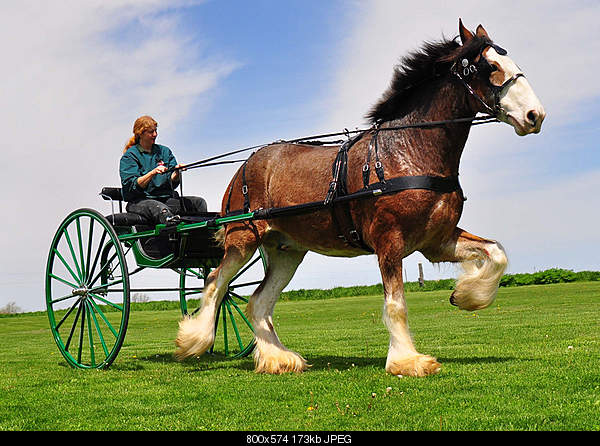 Beautiful photos from around the world.....-monday-may-2-2011-lovington-il.jpg