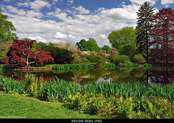 Beautiful photos from around the world.....-saturday-may-7-2011-valley-stream-ny.jpg