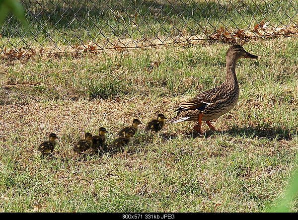 Beautiful photos from around the world.....-saturday-may-7-2011-wichita-falls-tx.jpg