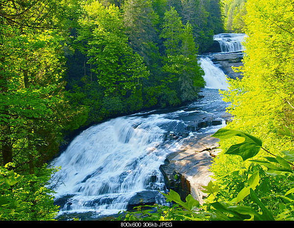 Beautiful photos from around the world.....-dupont-forest-waterfall.jpg