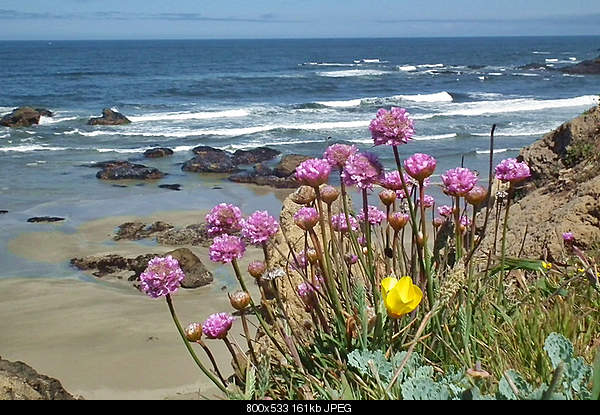Beautiful photos from around the world.....-thursday-may-12-2011-fort-bragg-ca.jpg