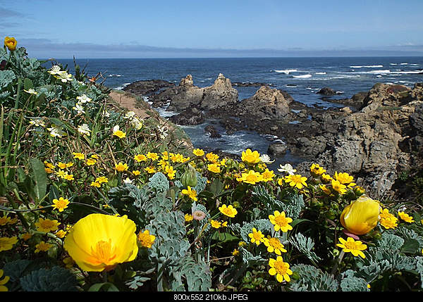 Beautiful photos from around the world.....-thursday-may-12-2011-fort-bragg-ca.jpg