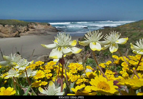 Beautiful photos from around the world.....-thursday-may-19-2011-fort-bragg-ca.jpg