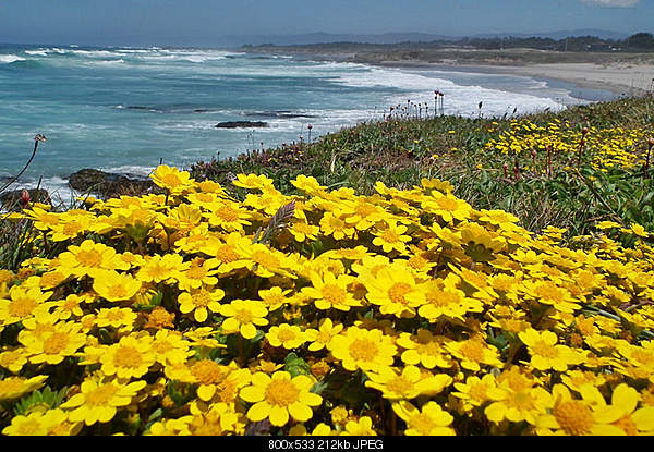 Beautiful photos from around the world.....-thursday-may-19-2011-fort-bragg-ca.jpg